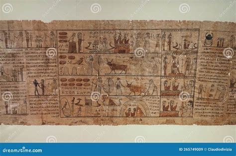 papyrus at museo egizio egyptian museum in turin editorial stock image image of african