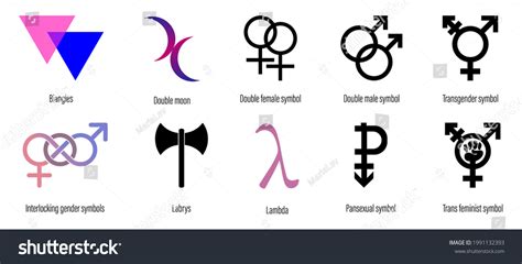 Set Lgbt Symbols Biangles Double Moon Stock Vector Royalty Free 1991132393 Shutterstock