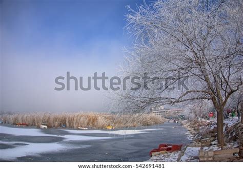 Winter Scene Frozen Lake Stock Photo 542691481 Shutterstock