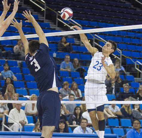 Ucla Mens Volleyball Suffers Loss To Csu Northridge Daily Bruin