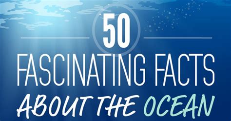 50 Fascinating Facts About Our Oceans