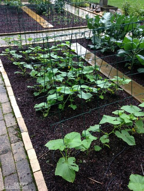 If organic matter takes longer to decompose this means this type of soil is poor in essential nutrients. Digging Into Mulches: Types of Landscape Mulch for Your Garden