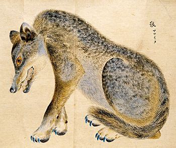 Волк из коллекции Нагао (волчьи волосы) волка (без рисунка) В этой книге впервые написана ...