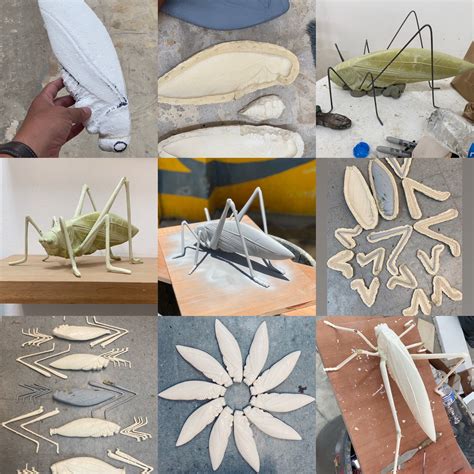 Impresionantes Esculturas Del Insecto ‘esperanza Por Jaime Rodríguez