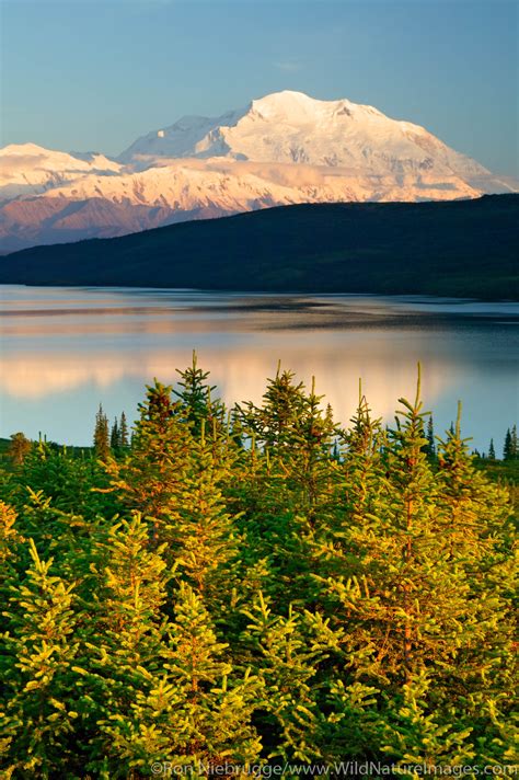 Wonder Lake Denali National Park Alaska Photos By Ron Niebrugge