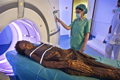 a night out of the museum mummies in the ct scanner matclinic