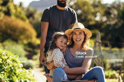 Mother And Daughter Ride In Wheelbarrow Pushed By Father Stock Photo