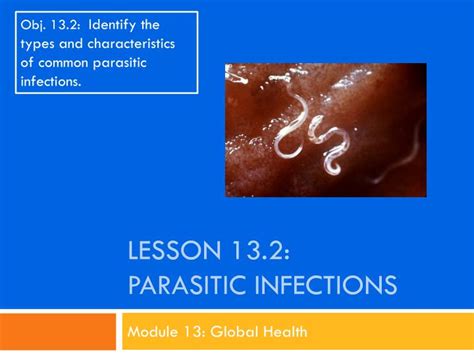 Ppt Lesson 132 Parasitic Infections Powerpoint Presentation Free