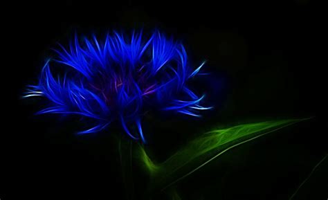 Vibrant Blue Light Color Inspiration Dark