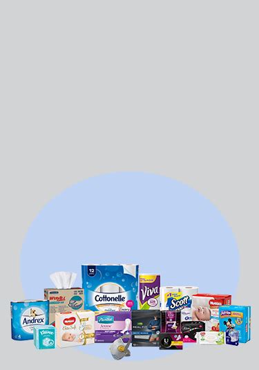 Kimberly Clark Our Brands