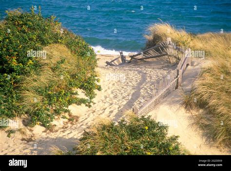 Sandy Path To Steps Beach Nantucket Island Massachusetts Usa Stock