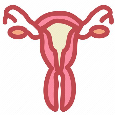 Female Reproduction Uterus Vagina Icon Hot Sex Picture