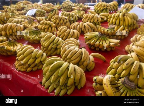 Buying Fresh Organic Produce At The Farmers Market Fresh Bananas On