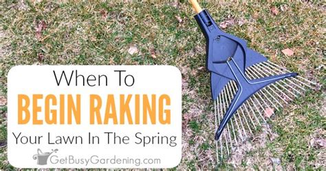 When To Rake Your Lawn In The Spring Get Busy Gardening