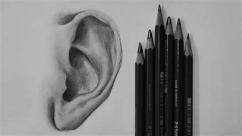 How To Draw An Ear Step By Step Beginners Pencil Shading Youtube