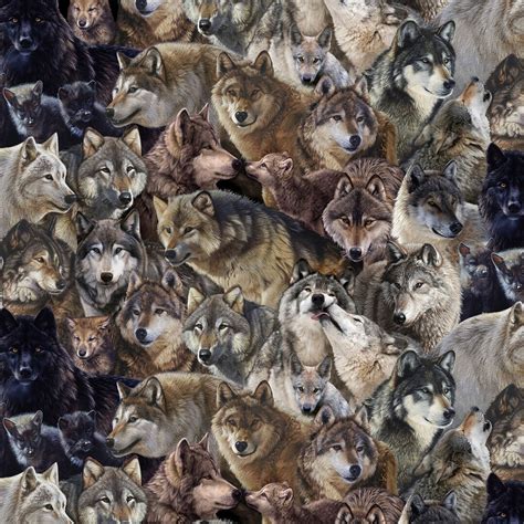 Wildlife Fabrics Multi Packed Wolves Premium Quality 100 Cotton Fabric