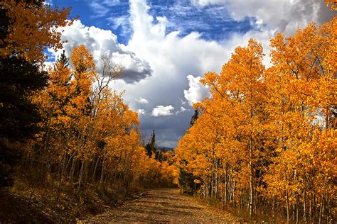 Rocky Mountain Fall Photograph By Mark Smith