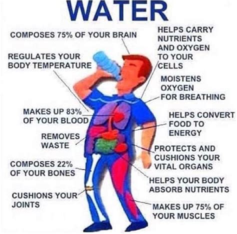 Stay Healthy And Hydrated During These Hot Summer Days Health Facts
