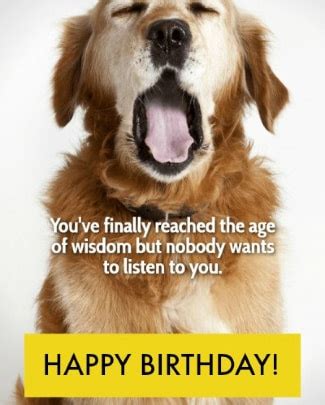 May your coffin has six handles of finest silver. Funny Birthday Wishes: 250+ Uniquely Funny Messages