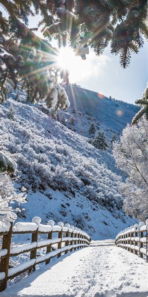 Dreaming Of A White Christmas In Aspen Colorado Christmas Vacation To