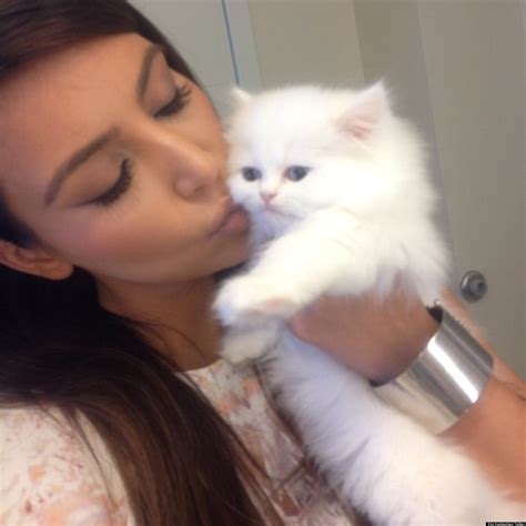 Kim Kardashians Cat Mercy Always Looks So Sad Photos Huffpost