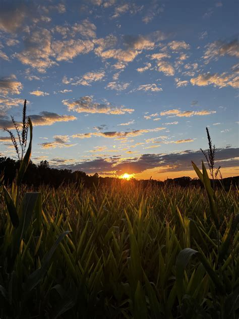 Mapleside Farms : r/Cleveland