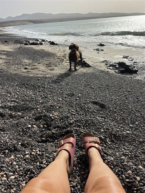 BHH Naturist Resort Fuerteventura on Twitter: "Daily amble on the beach