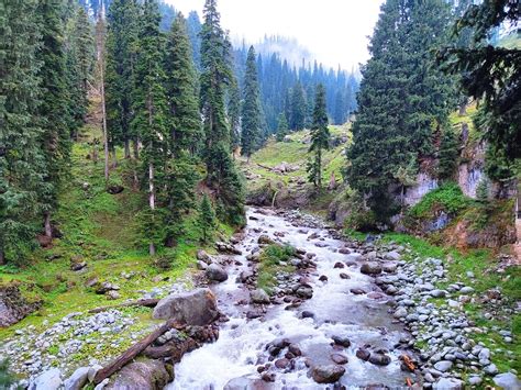 Tick Your Bucket List A Travel Guide To Visit 7 Best Places In Kashmir