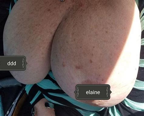 Elaine Big Tit Gilf 39 Pics XHamster