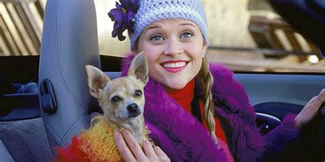 Podrán postular a los nuevos pagos del ife: Netflix April 2021 Releases: Everything Coming (And Going)