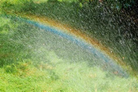Rainbow With Rain In Spring Stock Image Image Of Bright Agriculture