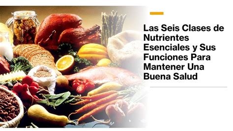 Las 6 Clases De Nutrientes Esenciales Y Sus Funciones Para Mantener Una