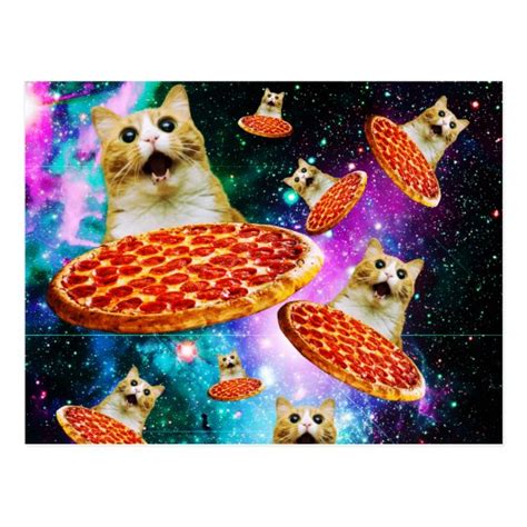Funny Space Pizza Cat Postcard