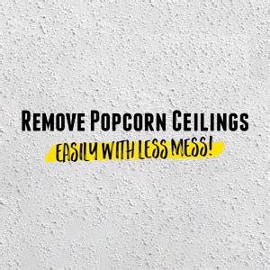 (most scrapers will come with. Ceiling Scraper, 12", Popcorn Remover: Amazon.ca ...