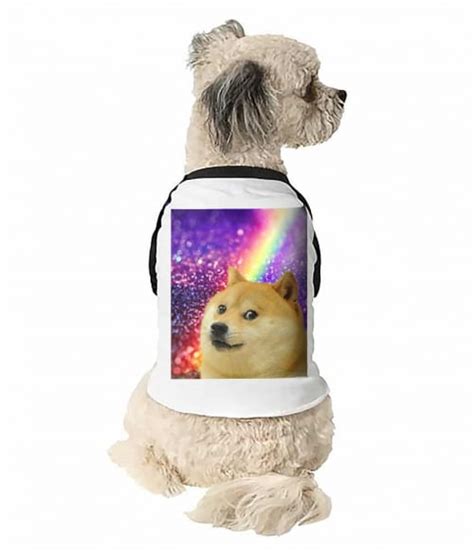 Doge Rainbow Póló Meme