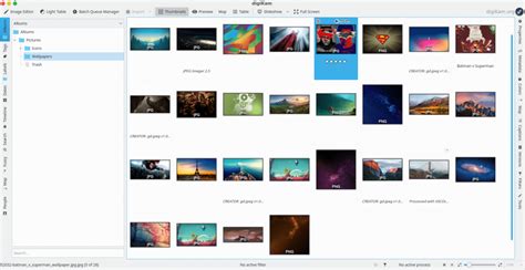 Best Photo Management Software For Linux Technastic