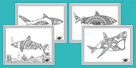 Mindfulness Shark Coloring Pages Teacher Made Twinkl