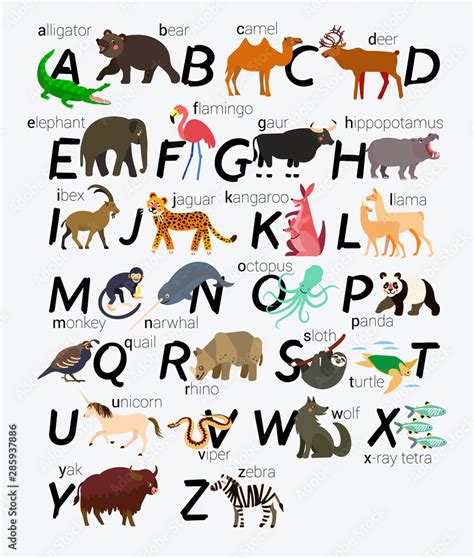 Animal Alphabet For Children And Kids Vector Stock Vector Adobe Stock