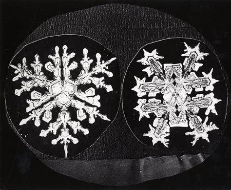 Celebrating Snowflake Bentley In Pictures Vermont Public Radio