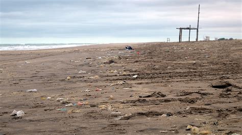 Más Del 80 De Los Residuos No Orgánicos En Playas Bonaerenses Es De
