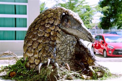 I'll explain more about the new structure at the end of this post. Protect Our Pangolin - University College Sabah Foundation