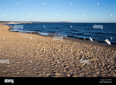Polish Baltic Coast On Gdansk Beach Stock Photo Alamy