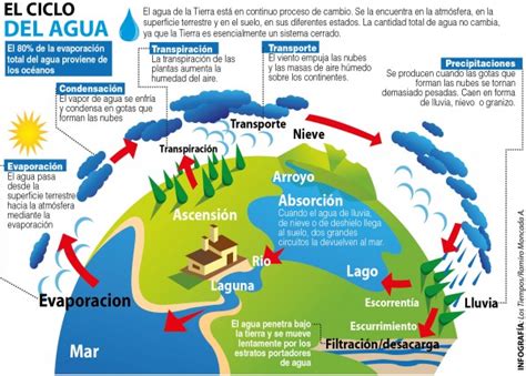 Ciclo Del Agua Que Es Etapas Y Caracteristicas Images