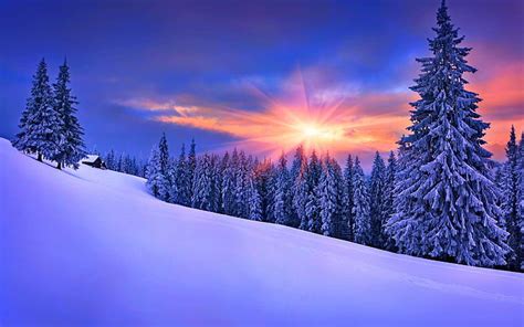 Hd Wallpaper Late Winter Sunset Snow Trees Forest Landscape