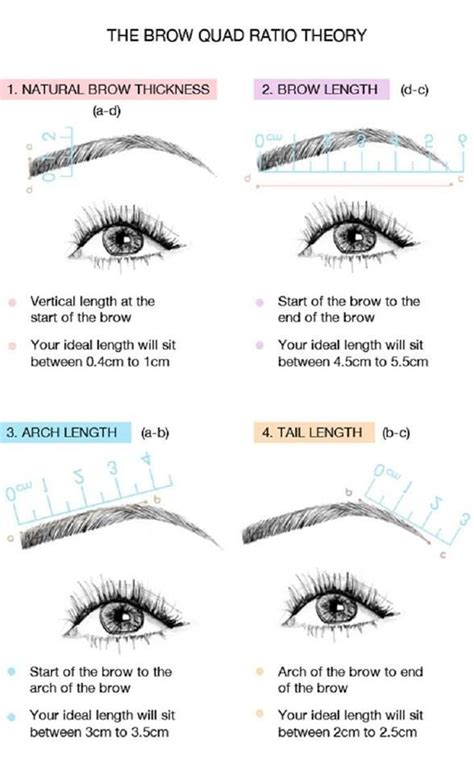 How To Measure Your Eyebrows Eyebrowshaper