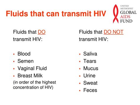 Ppt Hiv 101 Powerpoint Presentation Free Download Id 3518637