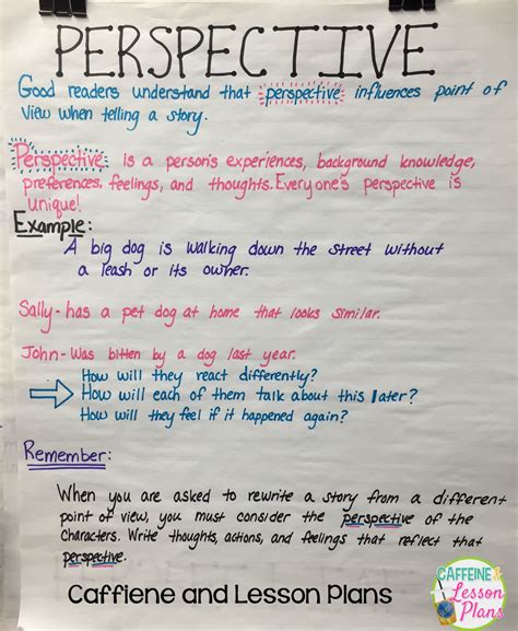 Perspective Vs Point Of View Anchor Chart