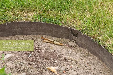Start by laying out the perimeter of your edging with a garden hose or a length of rope. Metal curved edging ... stock photo by Fiona Lea, Image: 0293818