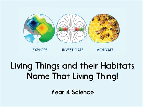 Living Things And Their Habitats Year 4 Planning And Resources