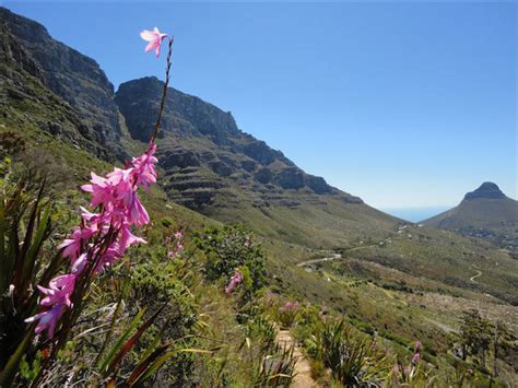 5 Cape Town Hiking Groups To Join Capetown Etc